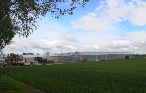 Außenansicht des Gewächshauses mit Anlagentechnik HUBER SE (Foto: ISOE) Außenansicht des Gewächshauses mit Anlagentechnik HUBER SE (Foto: ISOE)