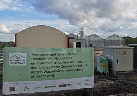 Frontansicht des Gewächshauses mit HypoWave-Banner (Foto: ISOE) Frontansicht des Gewächshauses mit HypoWave-Banner (Foto: ISOE)