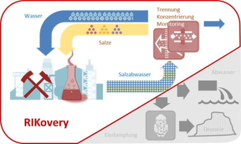 RIcovery Logo