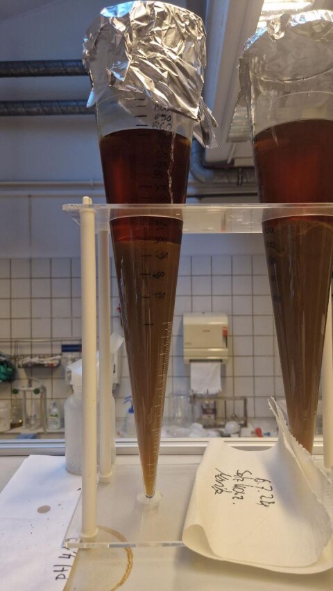 Hochsaline Sole kurz vor Kristallisation (Warmwalzwerk) (TU Berlin) Hochsaline Sole kurz vor Kristallisation (Warmwalzwerk) (TU Berlin)