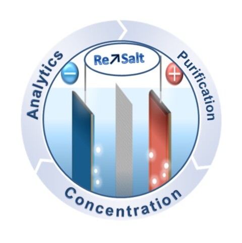 Logo ReSalt