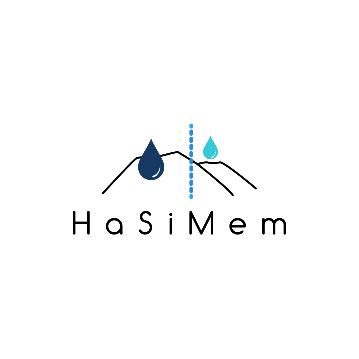 HaSiMem-01
